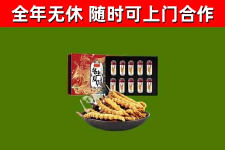 仁和区回收冬虫夏草价格